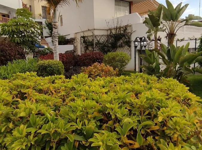 Geranios Appartement Costa Adeje (Tenerife)